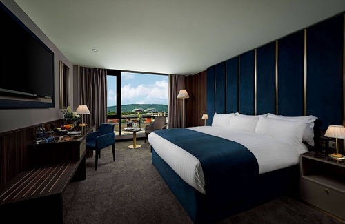 Limerick City Centre Hotel | The Savoy Hotel