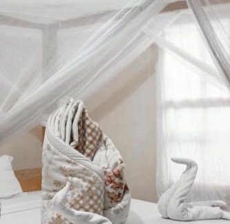 Moshi Cama Y Desayuno | The Secret Garden Hotel Moshi
