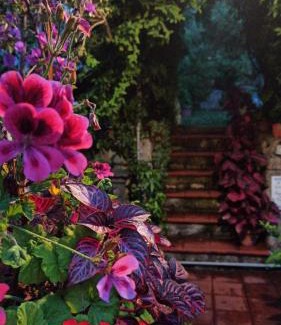 Maratea Apartamento | The Secret Garden Maratea - Casa di Elena