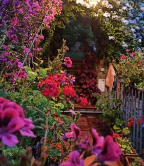 Maratea Apartamento | The Secret Garden Maratea - Casa di Elena