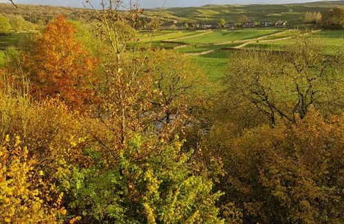 Threshfield Cabina | The Sett on The Wharfe