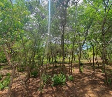 Kilifi Casa | The Shamba