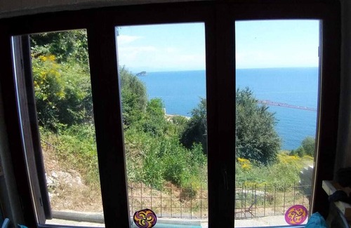 Noli Casa | The Share - Tiny Home