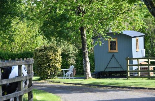 Llangynin Apartamento | The Shepherds Hut