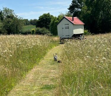 Hindringham Otro | The Shepherds Hut