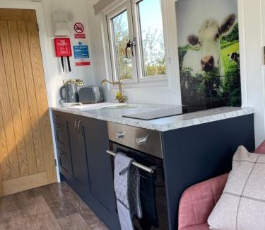 Congresbury Cabina | The Shepherd’s Nest