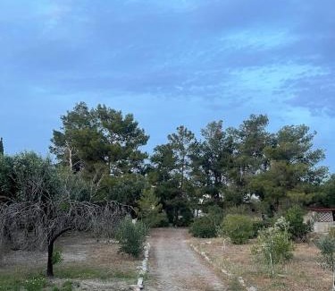 Lagonissi Casa | The Simple Space, a pause near the sea