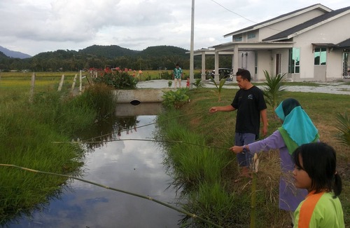Lubok Buaya Villa | El único paisaje de campo de arroz de Villa y amplia vista