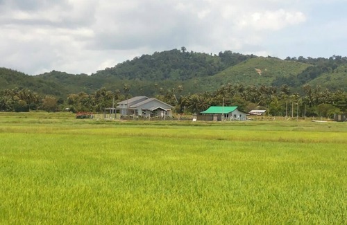 Lubok Buaya Villa | El único paisaje de campo de arroz de Villa y amplia vista