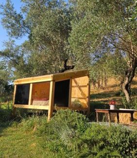 Calcata Otro | The SkyRoom - AUT vita sotto gli alberi