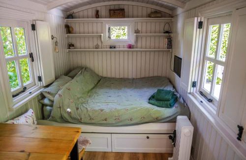 Carlisle Casa | The Snug, Netherby, near Carlisle