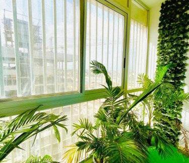 Dakar-Plateau Casa | The Sonu Garden