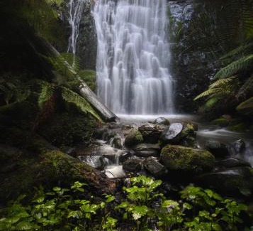 Tanybryn Cabina | The Source, Otways