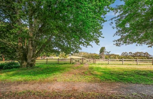 Tanybryn Cabina | The Source, Otways