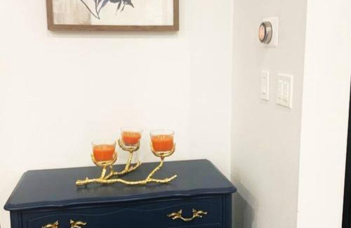 Burlington Casa | The Splendid House