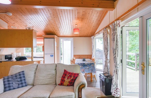Machynlleth Cabaña | The Squirrels Drey C32 - UK45927