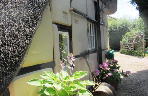 Eastleigh Casa | The Stable
