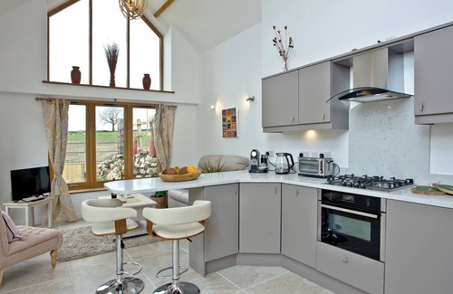 West Buckland Cabaña | Alojamiento de 1 habitación en Churchstanton, cerca de Taunton