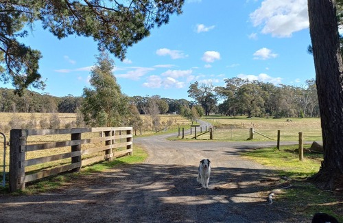 Moss Vale Casa | The Stables ~ Peace, Tranquility, Nature, Horses.