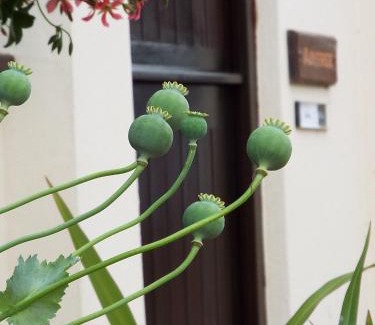 Wootton Apartamento | The Stableyard