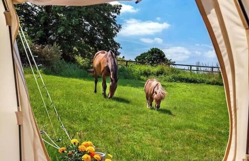 Loughborough Casa | The Stargazer - Farm Stay