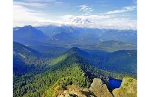 Strong Cabina | The Sunset Cabin by Lake Bernard Cottages