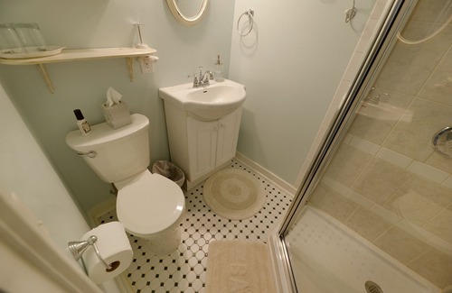 Canandaigua Cama Y Desayuno | The Susan B.-Habitacion Doble-King-Baño con ducha
