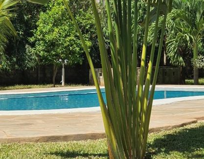Ukunda Casa | The Swimming Ostrich
