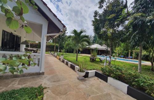 Ukunda Casa | The Swimming Ostrich