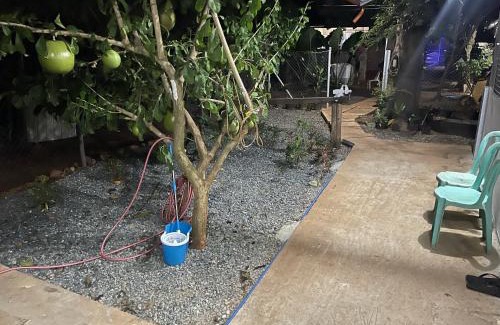 Puerto Princesa City Centre Apartamento | The Tamarind Tree