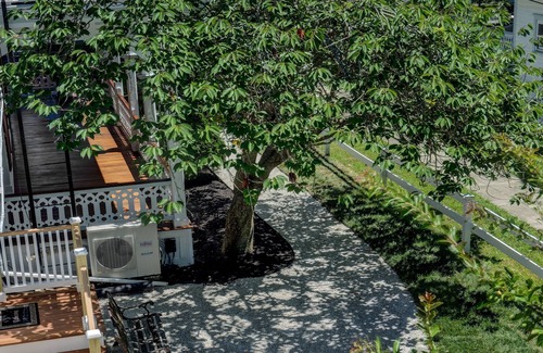 Cape May Cabaña | The Tea Rose