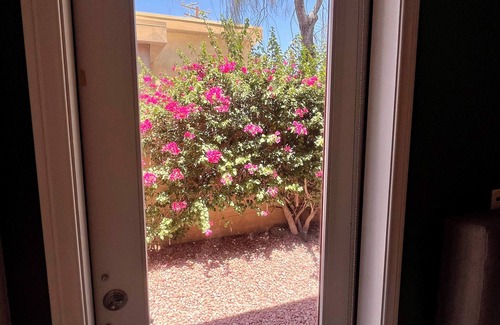Chino Canyon Casa | The Terra Cotta Terrace