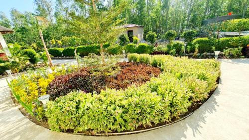Ramnagar Complejo | The Tiger Claw Resort