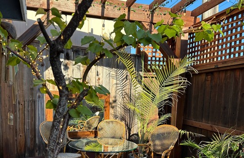 Guerneville Cabina | The Tiny Tipsy Turtle