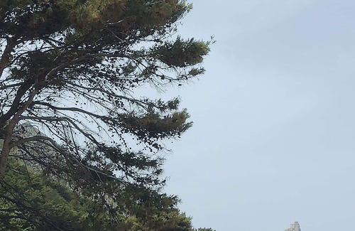 Marettimo Casa | La casa del árbol - Entre montaña y mar