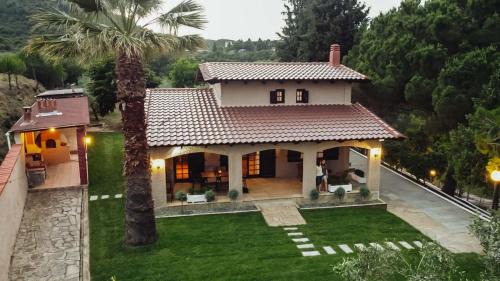 Pangaio Casa | The Tree House
