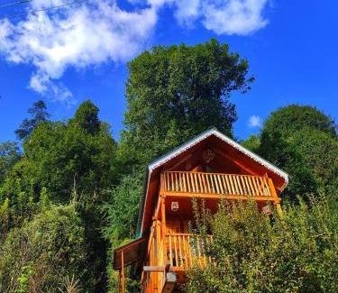 Banjar Casa | The Tree Top Treehouse Jibhi