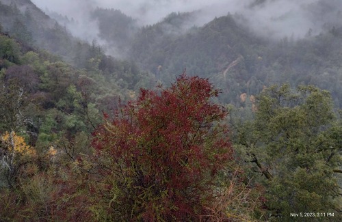 Cazadero Cabina | "The Treehouse" Cabin on 275 acres with Private Hiking Trails, Wineries nearby.