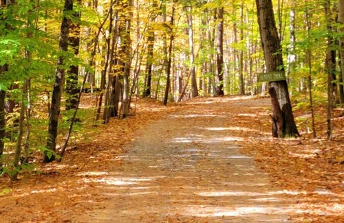 Middle Grove Casa | The Treehouse Lodge at Brookledge former girls summer camp -1 mi
