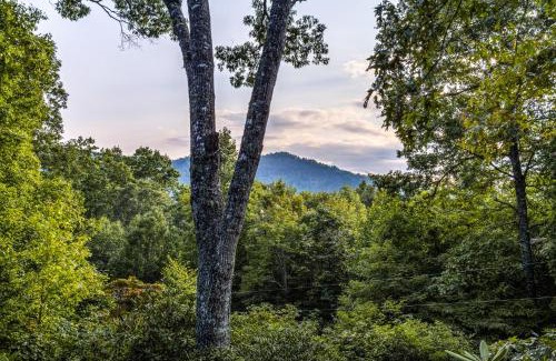 Highlands Casa | The Treehouse