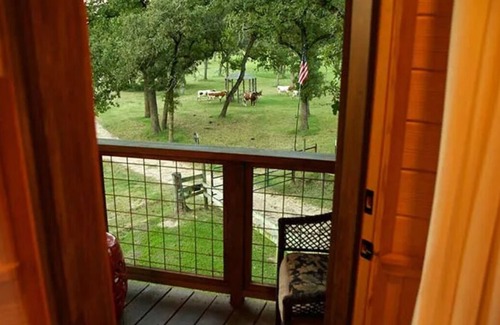 Jeddo Cabina | The Treehouse