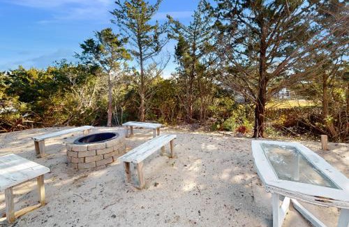 Salvo Casa | The Turtle's Nest