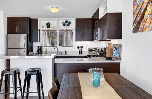 Carbondale Condominio | Loft moderno de Carbondale