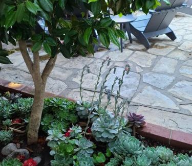 Northwest Carmel Cama Y Desayuno | The Vagabond's House Boutique Inn