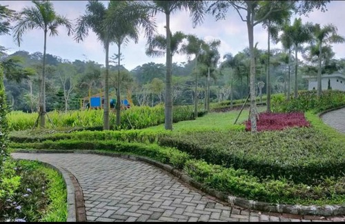 Malang Casa | The Valley Guesthouse