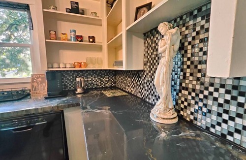 Fort Smith Casa | The vampire's den, downtown big house, pets ok