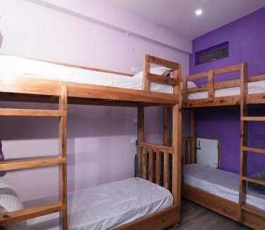 Almora Casa | The Van Allen Stays