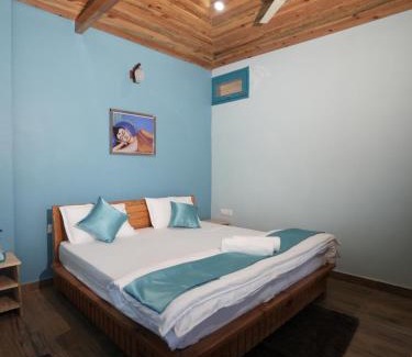 Almora Casa | The Van Allen Stays