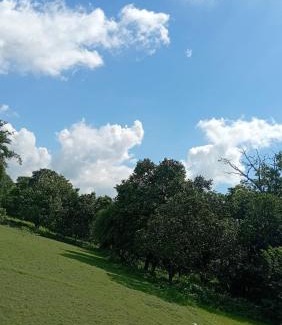Madhubani Casa | The Vedic Grove