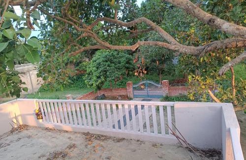 Madhubani Casa | The Vedic Grove